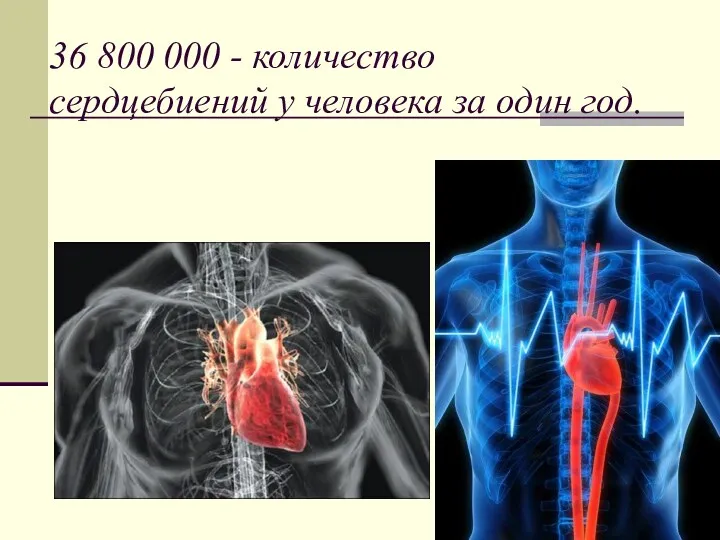 36 800 000 - количество сердцебиений у человека за один год.