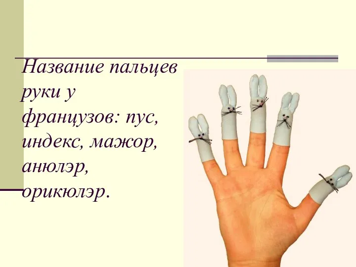 Название пальцев руки у французов: пус, индекс, мажор, анюлэр, орикюлэр.