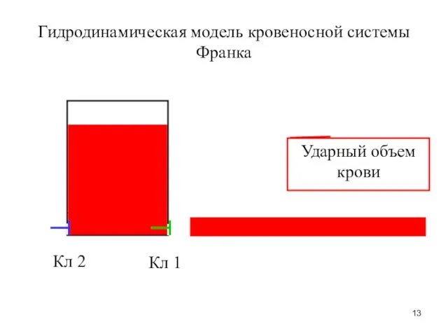 Гидродинамическая модель кровеносной системы Франка Ударный объем крови Кл 1 Кл 2