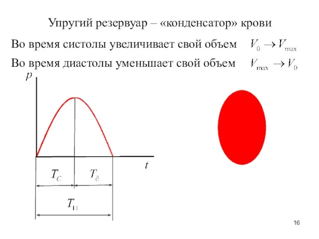 Упругий резервуар – «конденсатор» крови Во время систолы увеличивает свой