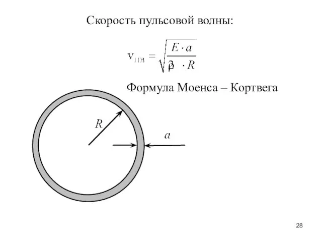 Скорость пульсовой волны: Формула Моенса – Кортвега