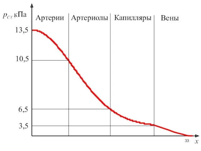 Артерии Артериолы Капилляры 13,5 10,5 6,5 3,5 Вены