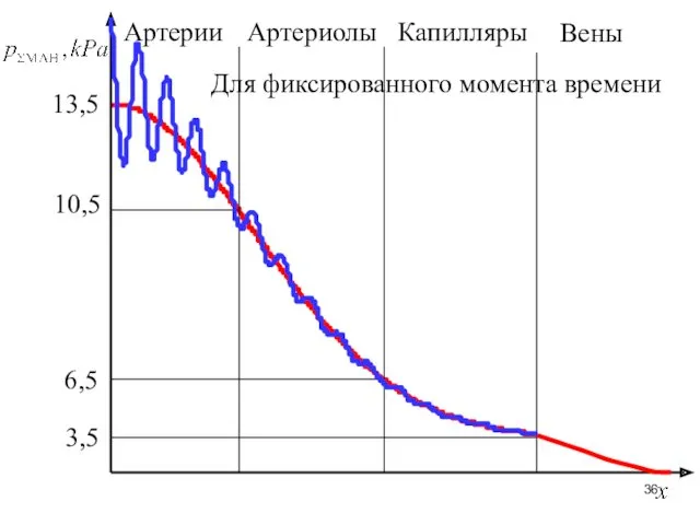 Артерии Артериолы Капилляры 13,5 10,5 6,5 3,5 Вены Для фиксированного момента времени