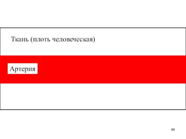 Ткань (плоть человеческая) Артерия