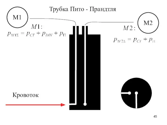 Трубка Пито - Прандтля Кровоток М1 М2