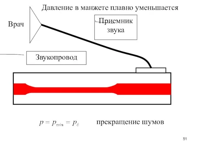 Приемник звука Звукопровод Врач прекращение шумов Давление в манжете плавно уменьшается