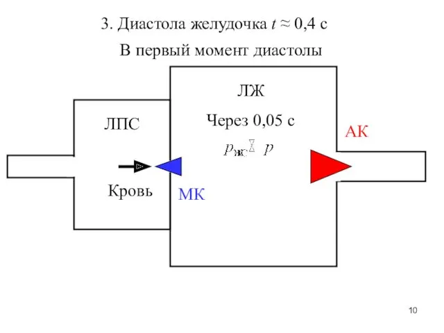 ЛЖ ЛПС МК АК 3. Диастола желудочка t ≈ 0,4