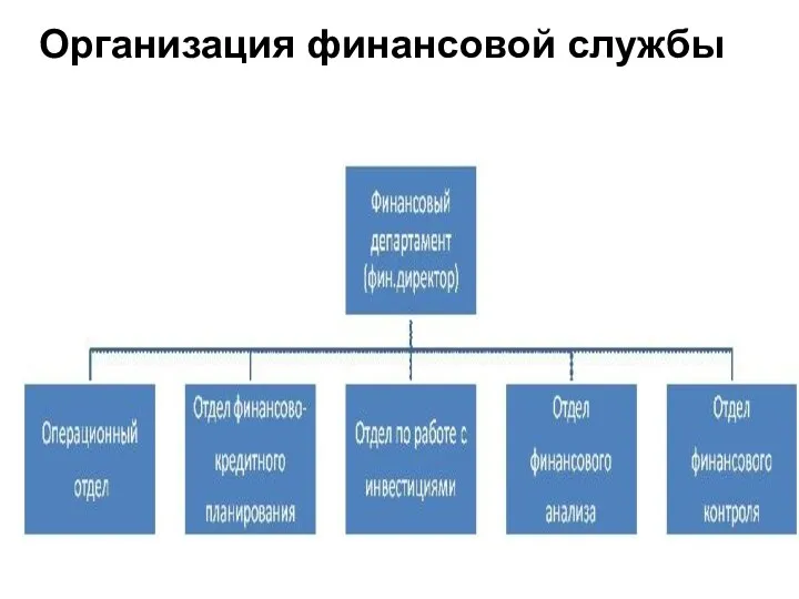 Организация финансовой службы