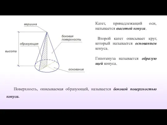 Катет, принадле­жащий оси, называется высотой конуса. Второй катет описывает круг,