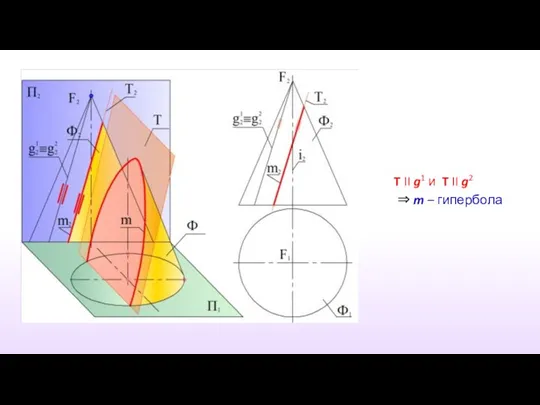 T II g1 и T II g2 ⇒ m – гипербола