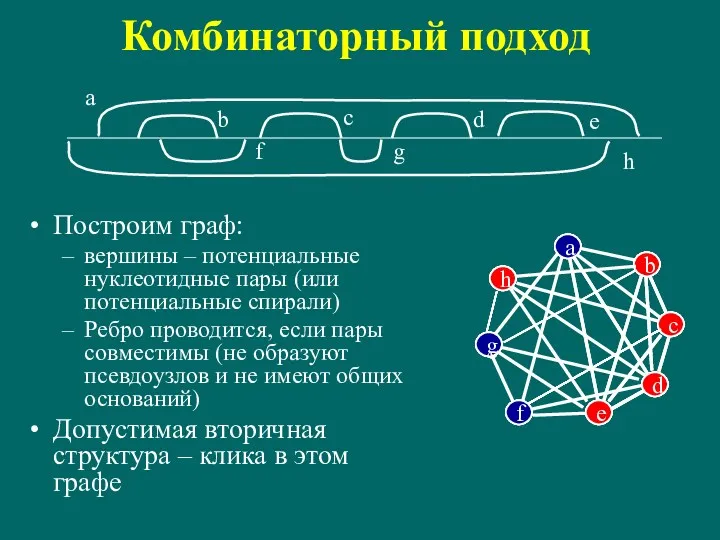 Комбинаторный подход Построим граф: вершины – потенциальные нуклеотидные пары (или