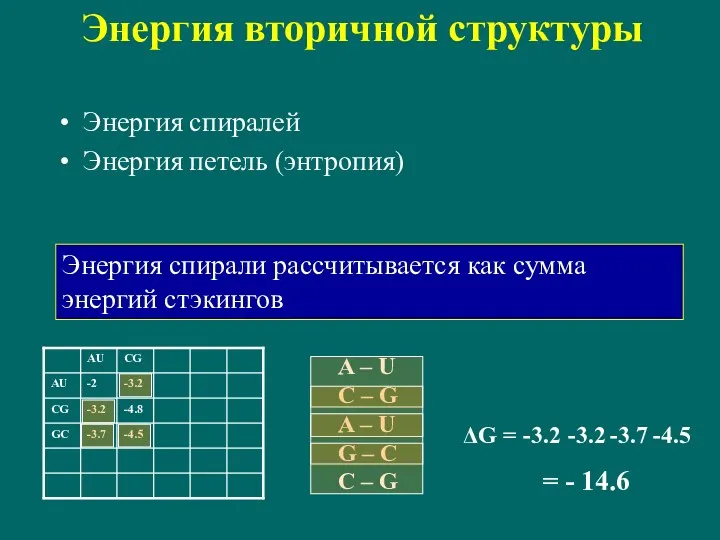 Энергия вторичной структуры Энергия спиралей Энергия петель (энтропия) A –