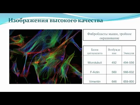 Изображения высокого качества