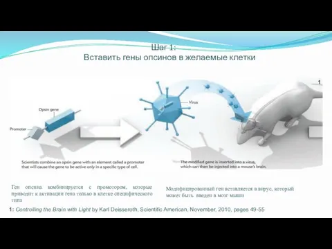 Шаг 1: Вставить гены опсинов в желаемые клетки 1: Controlling