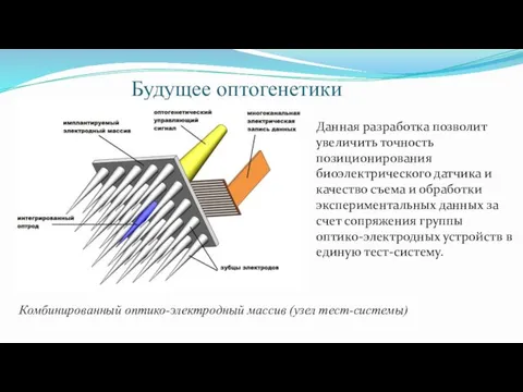 Будущее оптогенетики Данная разработка позволит увеличить точность позиционирования биоэлектрического датчика