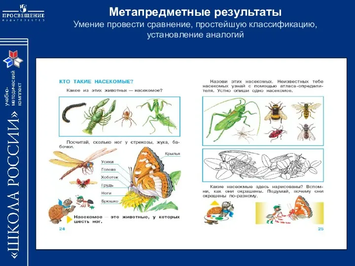 Метапредметные результаты Умение провести сравнение, простейшую классификацию, установление аналогий