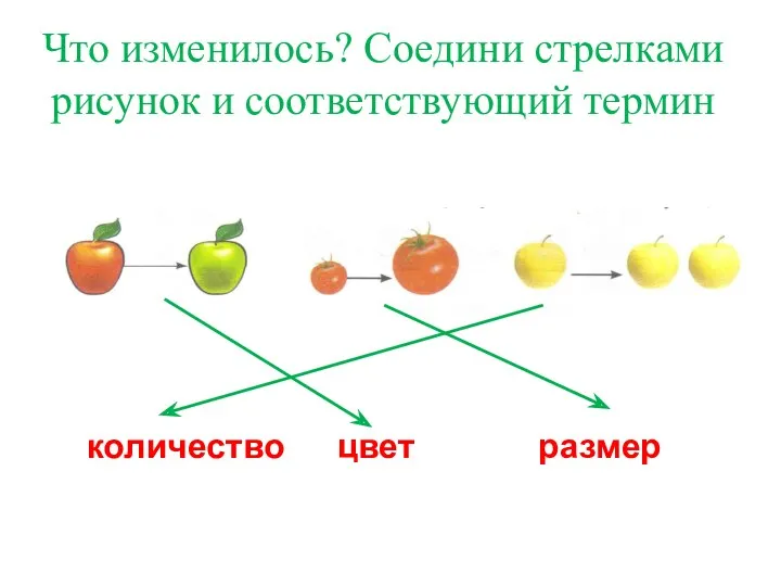 Что изменилось? Соедини стрелками рисунок и соответствующий термин количество цвет размер