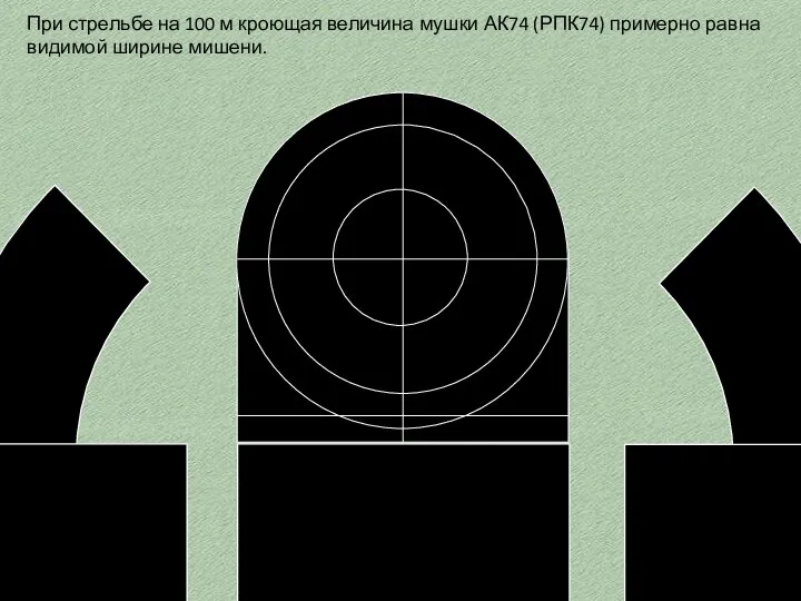 При стрельбе на 100 м кроющая величина мушки АК74 (РПК74) примерно равна видимой ширине мишени.