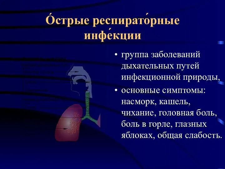 О́стрые респирато́рные инфе́кции группа заболеваний дыхательных путей инфекционной природы, основные