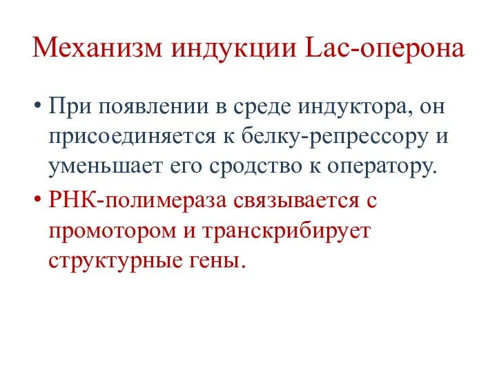 Механизм индукции Lac-оперона При появлении в среде индуктора, он присоединяется