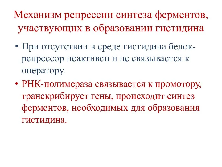 Механизм репрессии синтеза ферментов, участвующих в образовании гистидина При отсутствии