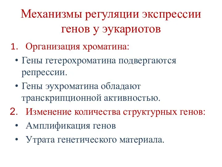 Механизмы регуляции экспрессии генов у эукариотов Организация хроматина: Гены гетерохроматина