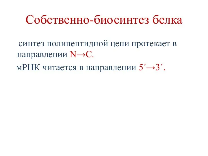 Собственно-биосинтез белка синтез полипептидной цепи протекает в направлении N→C. мРНК читается в направлении 5´→3´.