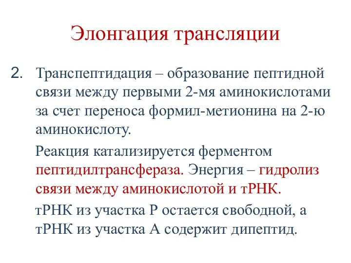 Элонгация трансляции Транспептидация – образование пептидной связи между первыми 2-мя