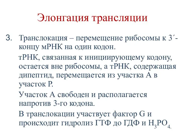 Элонгация трансляции Транслокация – перемещение рибосомы к 3´-концу мРНК на