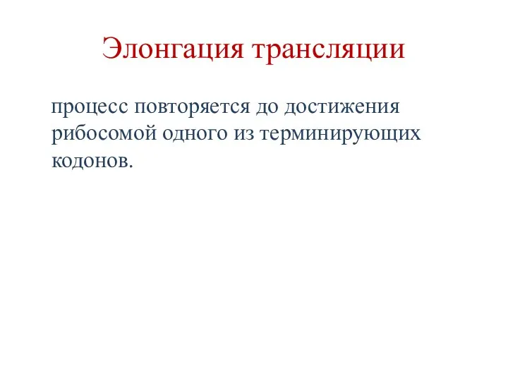 Элонгация трансляции процесс повторяется до достижения рибосомой одного из терминирующих кодонов.