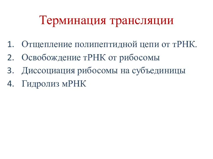 Терминация трансляции Отщепление полипептидной цепи от тРНК. Освобождение тРНК от