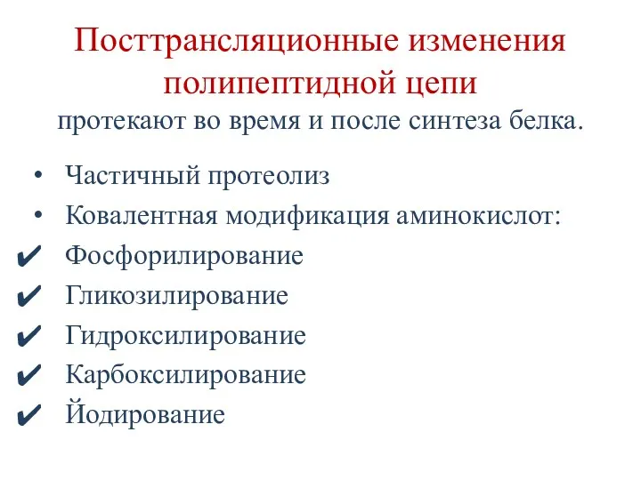 Посттрансляционные изменения полипептидной цепи протекают во время и после синтеза