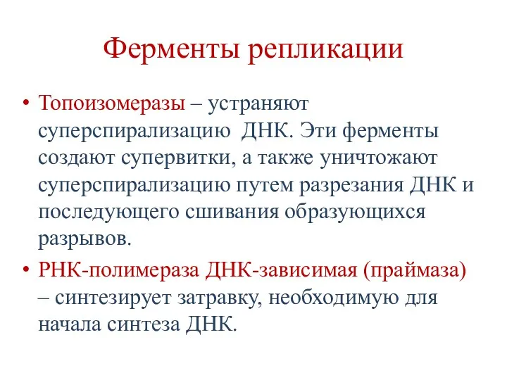 Ферменты репликации Топоизомеразы – устраняют суперспирализацию ДНК. Эти ферменты создают