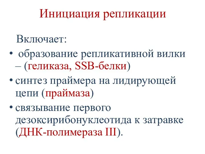 Инициация репликации Включает: образование репликативной вилки – (геликаза, SSB-белки) синтез