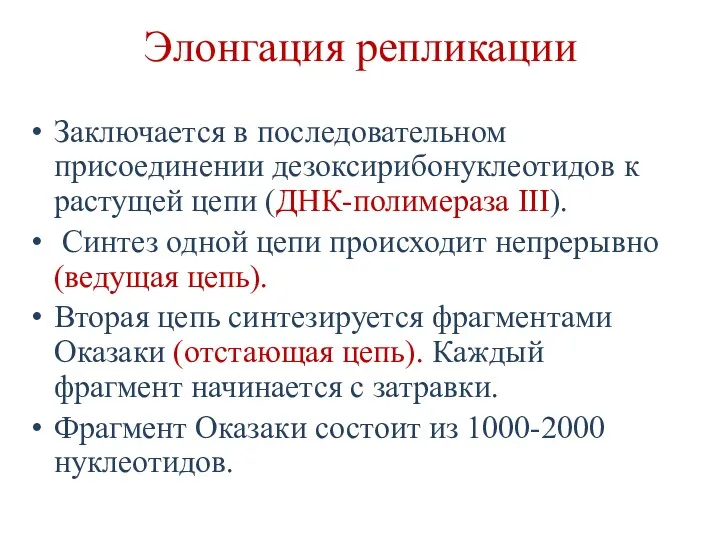 Элонгация репликации Заключается в последовательном присоединении дезоксирибонуклеотидов к растущей цепи