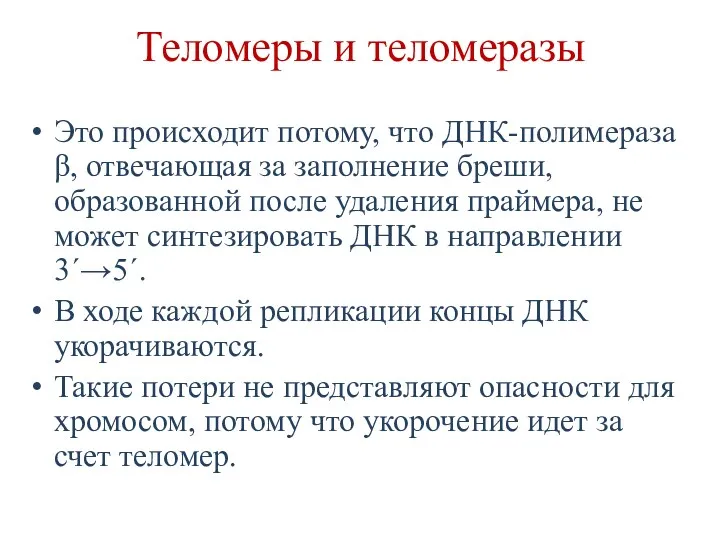 Теломеры и теломеразы Это происходит потому, что ДНК-полимераза β, отвечающая