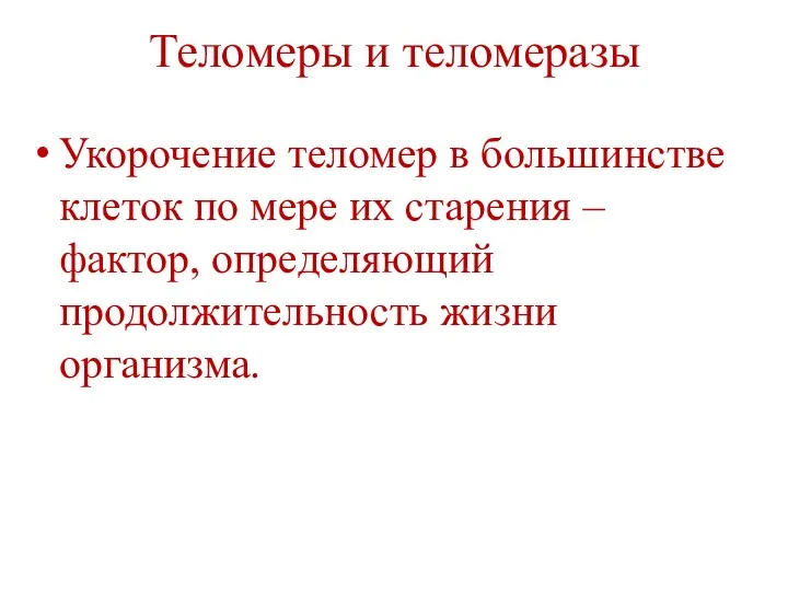 Теломеры и теломеразы Укорочение теломер в большинстве клеток по мере