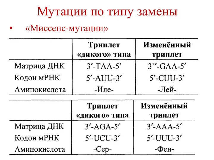 Мутации по типу замены «Миссенс-мутации»