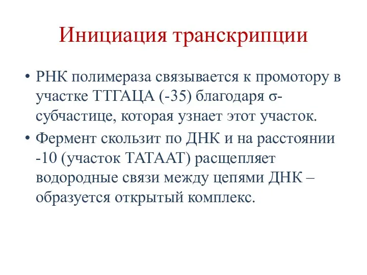 Инициация транскрипции РНК полимераза связывается к промотору в участке ТТГАЦА