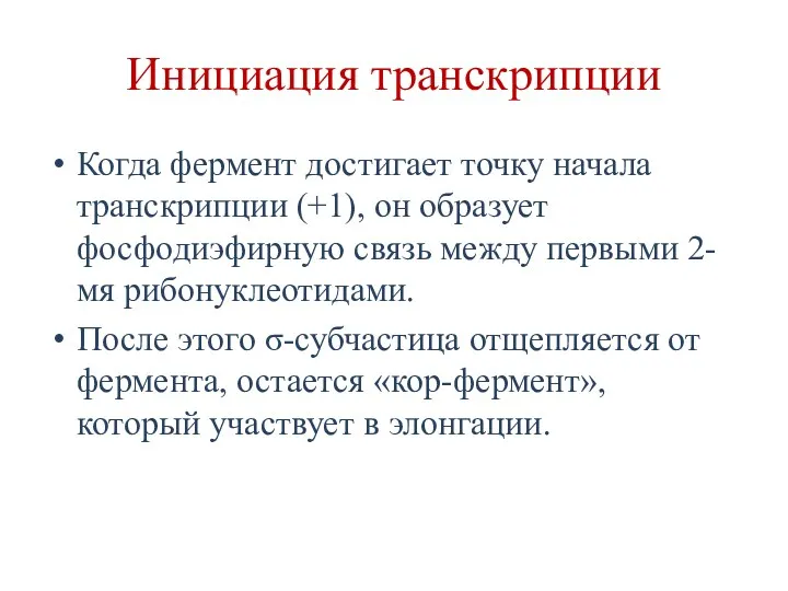 Инициация транскрипции Когда фермент достигает точку начала транскрипции (+1), он