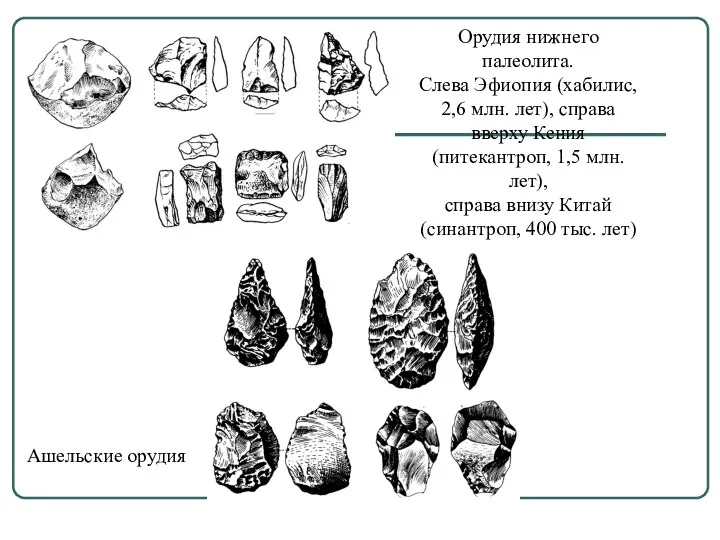 Орудия нижнего палеолита. Слева Эфиопия (хабилис, 2,6 млн. лет), справа вверху Кения (питекантроп,