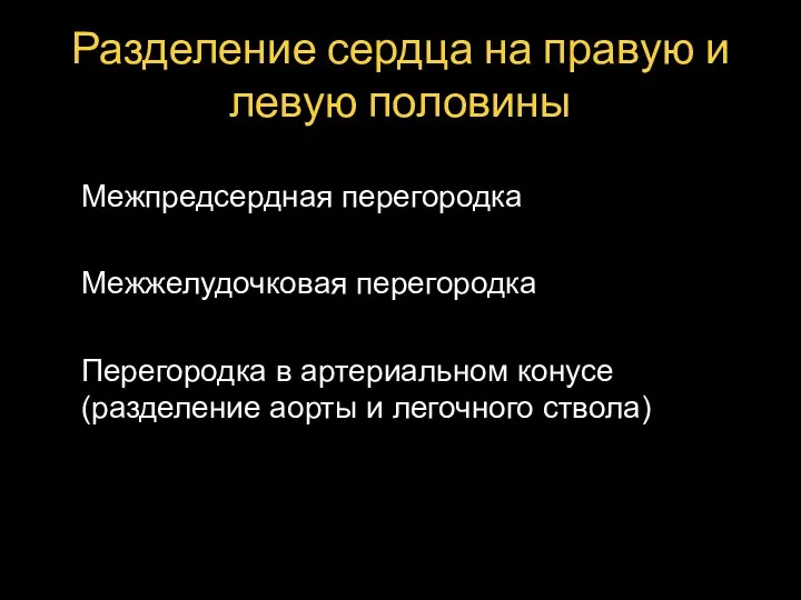 Разделение сердца на правую и левую половины Межпредсердная перегородка Межжелудочковая