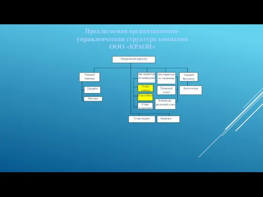 Предлагаемая организационно-управленческая структура компании ООО «КРАОН»