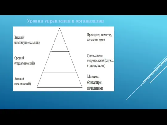 Уровни управления в организации