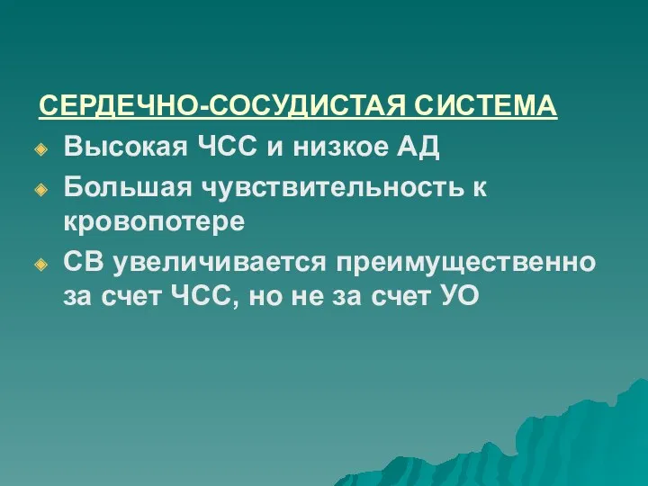 СЕРДЕЧНО-СОСУДИСТАЯ СИСТЕМА Высокая ЧСС и низкое АД Большая чувствительность к