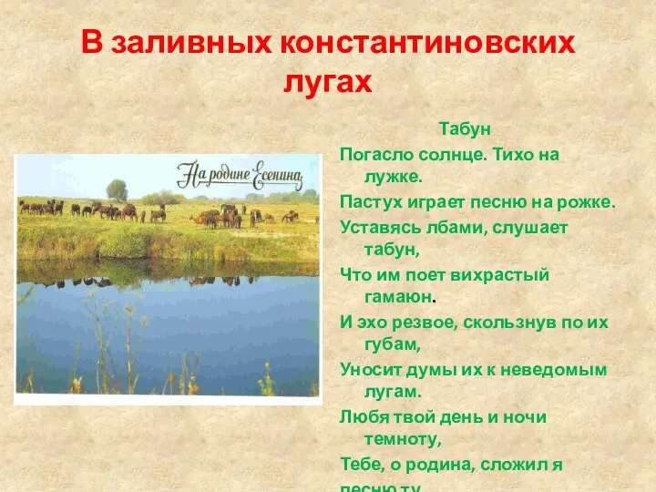 В заливных константиновских лугах Табун Погасло солнце. Тихо на лужке. Пастух играет песню