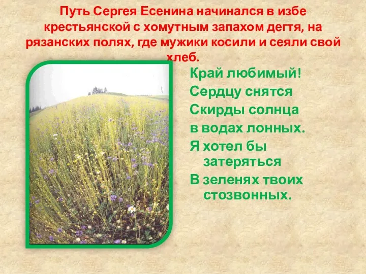 Путь Сергея Есенина начинался в избе крестьянской с хомутным запахом дегтя, на рязанских