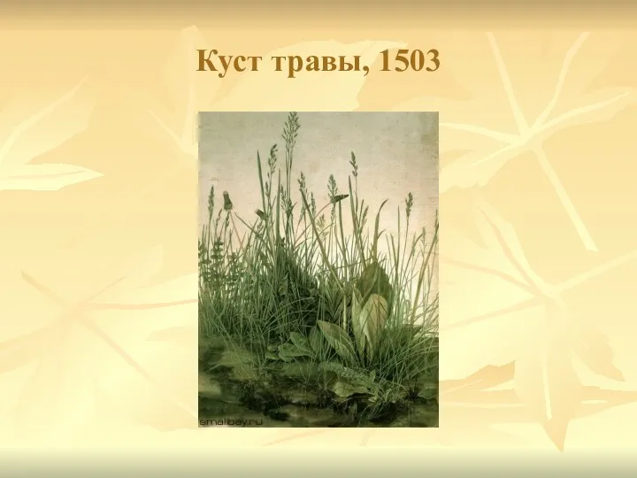 Куст травы, 1503