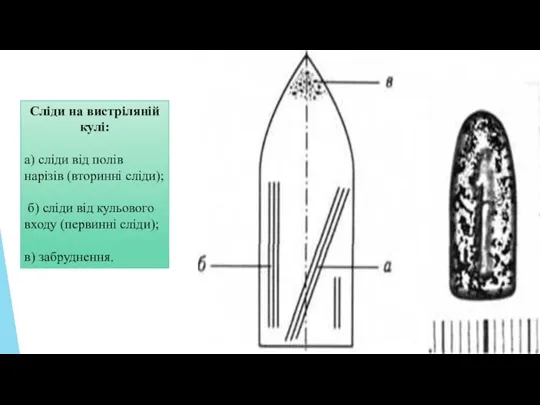 Сліди на вистріляній кулі: а) сліди від полів нарізів (вторинні