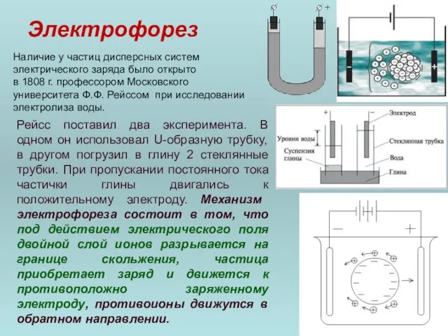 Электрофорез Наличие у частиц дисперсных систем электрического заряда было открыто